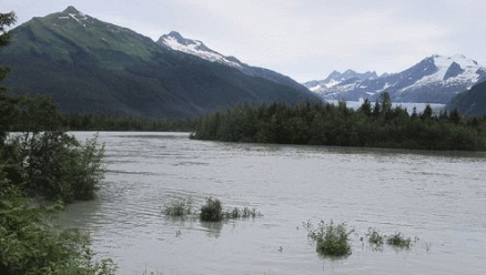 5.9 earthquake Causes Telecom outage in Southeast Alaska